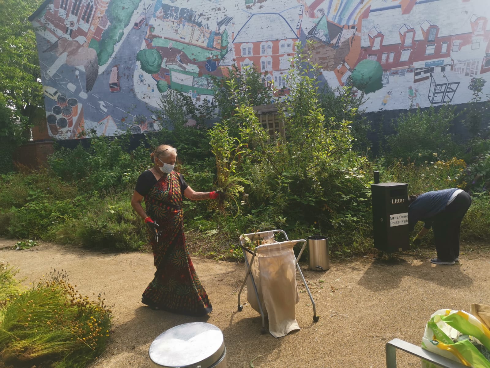 clearing overgrown plants in the park