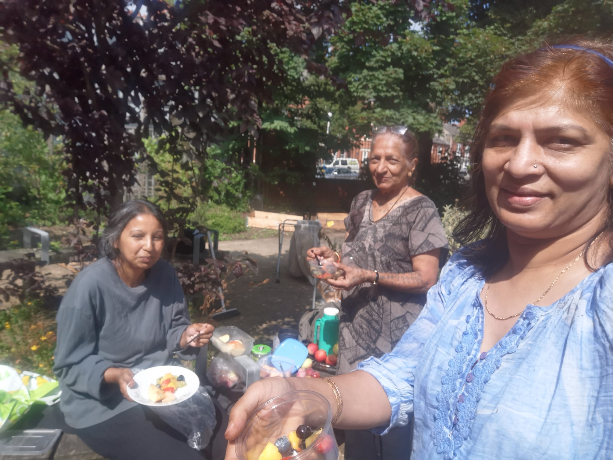 healthy snacks at the picnic